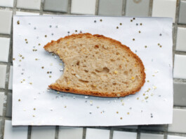 Archiv der angebissenen Brotscheiben