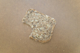 Archiv der angebissenen Brotscheiben