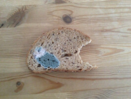 Archiv der angebissenen Brotscheiben