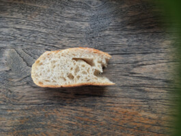 Archiv der angebissenen Brotscheiben