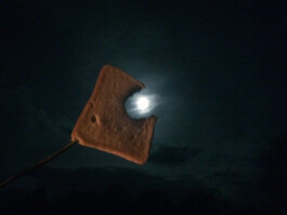 Archiv der angebissenen Brotscheiben