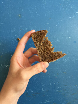 Archiv der angebissenen Brotscheiben