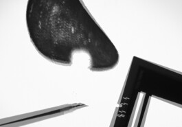 Archiv der angebissenen Brotscheiben