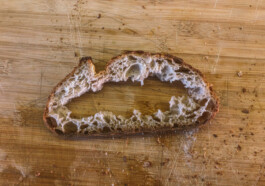 Archiv der angebissenen Brotscheiben