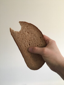 Archiv der angebissenen Brotscheiben