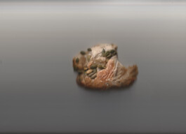 Archiv der angebissenen Brotscheiben