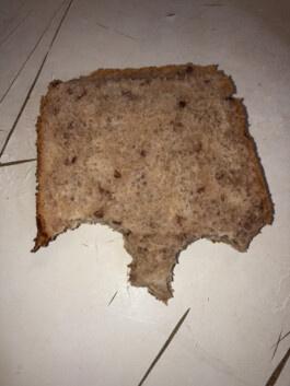 Archiv der angebissenen Brotscheiben