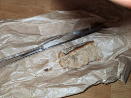 Archiv der angebissenen Brotscheiben