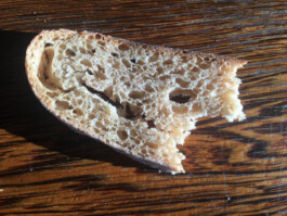 Archiv der angebissenen Brotscheiben