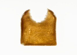 Archiv der angebissenen Brotscheiben